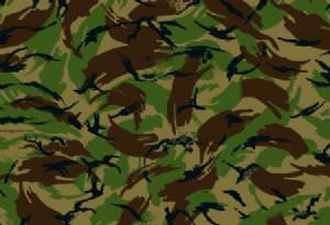 Camouflage Fabric (Ripstop) (click for enlarged image)